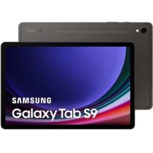 TABLET SAMSUNG GALAXY TAB S9 WIFI 12-256 GRAY